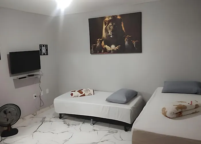 Lindo Apart. Recreio Dos Bandeirantes No Rio De Janeiro